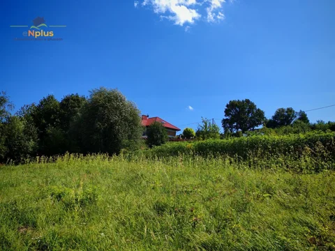 Golkowice działka budowlana pod lasem