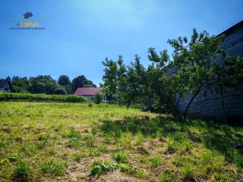 Golkowice działka budowlana pod lasem